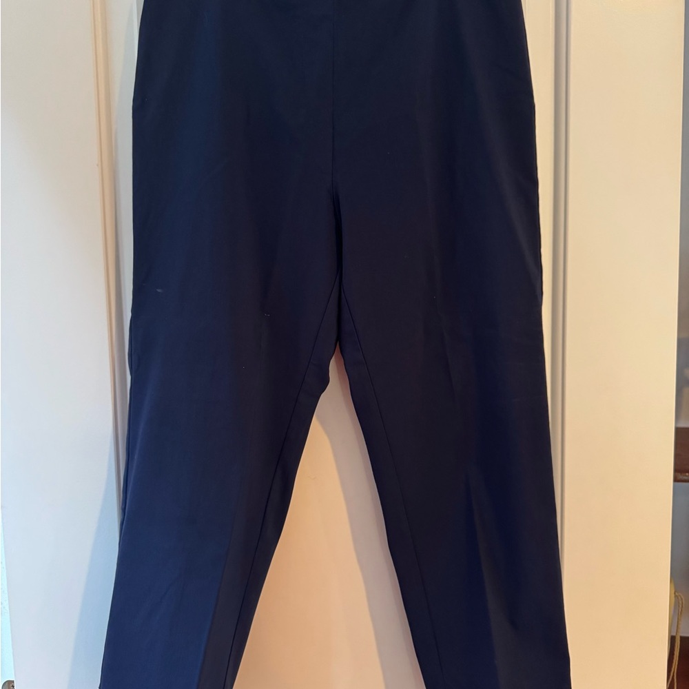 Indigo Dress Pants with Classic Straight Fit